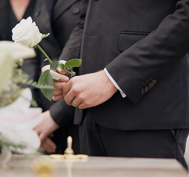 person holding white rose